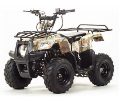 Квадроцикл Motoland 110 RIDER