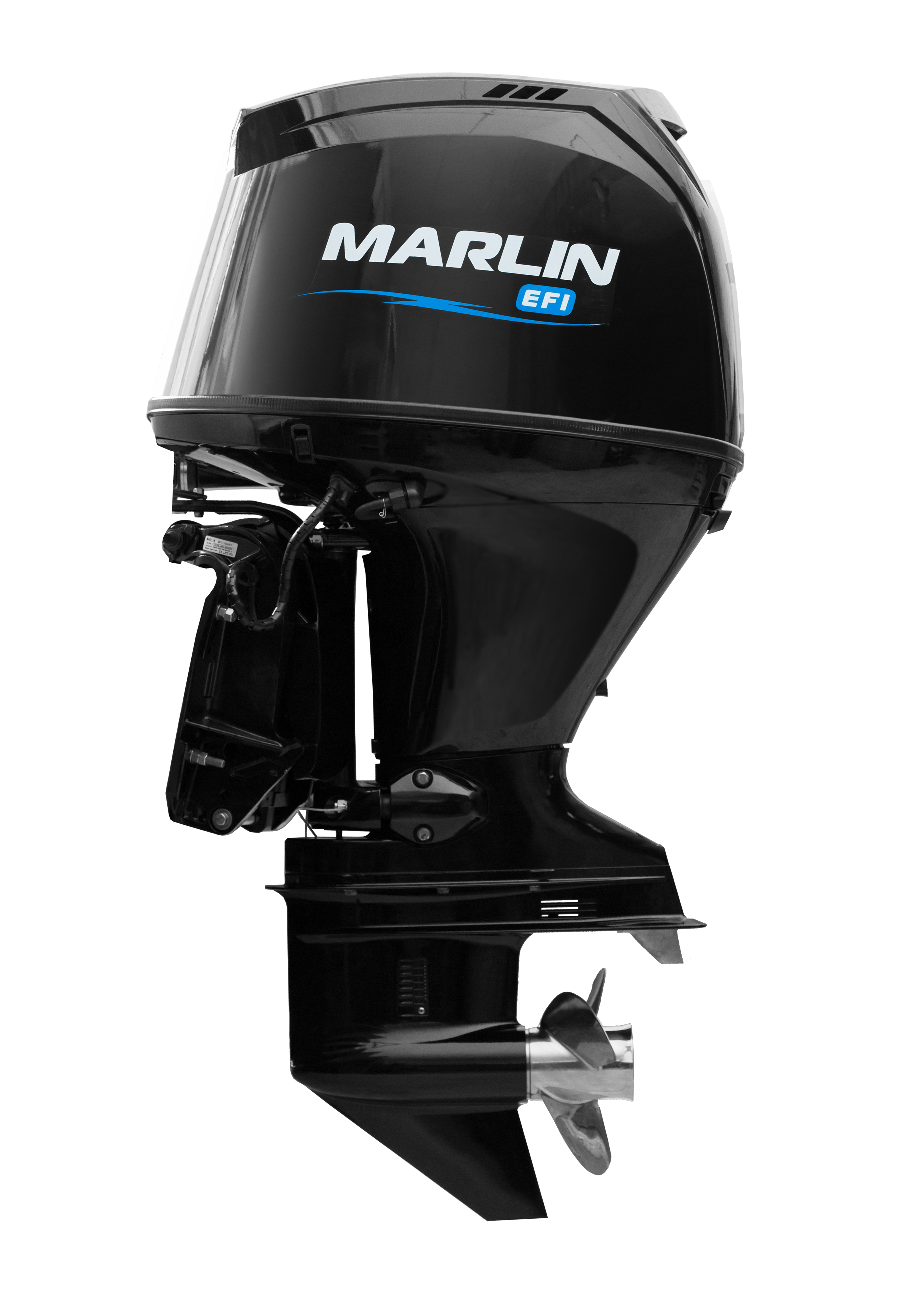 Мотор MARLIN MFI 115 AERTL